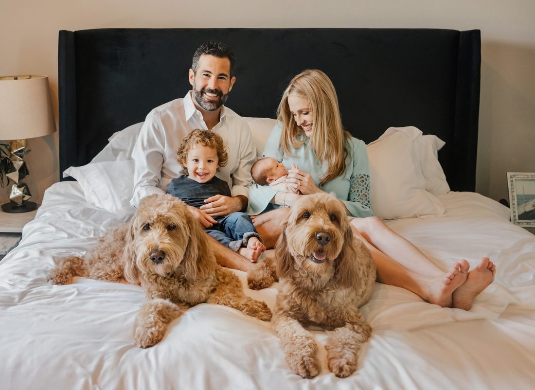 Family portrait with a newborn and their dogs
